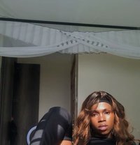 Huntrex - Transsexual escort in Nairobi