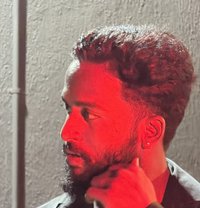 Hybreed Horse - Male escort in Bangalore