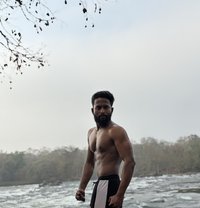 Hybreed Horse - Male escort in Bangalore