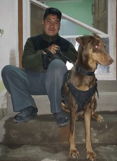 Hyena Rana - Intérprete masculino de adultos in Kathmandu Photo 8 of 10