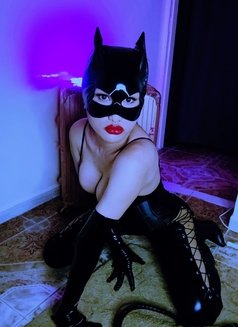 I am Cat Woman! Give me Roar! - Acompañantes transexual in Abu Dhabi Photo 2 of 30