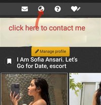 I Am Sofia Ansari. Lets Go for a Date - escort in New Delhi