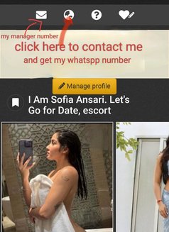 I am SOFIA ANSARI..let's go for date.. - escort in New Delhi Photo 1 of 1