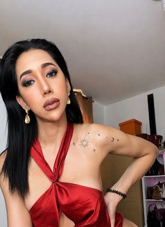 I Am Your Trans in Your Dreams Babe - Transsexual escort in Dubai Photo 1 of 4