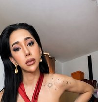 I Am Your Trans in Your Dreams Babe - Transsexual escort in Dubai