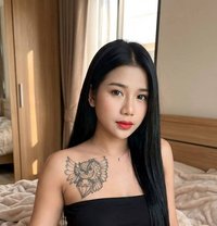 I live khobar Saudi Arabia - Transsexual escort in Khobar