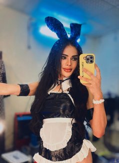 I'm Aiisha Ladyboy Both 7"from Thailand - Transsexual escort in Riyadh Photo 4 of 9