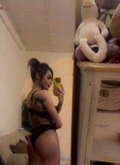 I'm Aiisha Ladyboy Both 7"from Thailand - Transsexual escort in Riyadh Photo 9 of 9