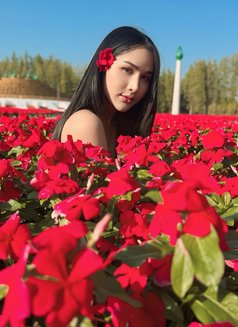 Iβm both service πΉπ - Transsexual escort in Khobar Photo 9 of 22