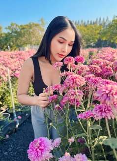 Iβm both service πΉπ - Transsexual escort in Khobar Photo 13 of 22