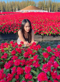 Iβm both service πΉπ - Transsexual escort in Khobar Photo 22 of 22