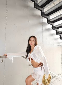 I’m Cara cute and hot O.o - escort in Tokyo Photo 10 of 12
