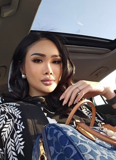 I'm Dana New ladyboy in Bahrain - Acompañantes transexual in Al Manama Photo 8 of 12