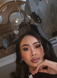 I'm Dana New ladyboy in Bahrain - Acompañantes transexual in Al Manama Photo 9 of 12
