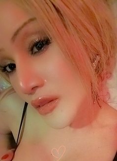 I'm i your Bitch Fantasy Hot Blonde Bkk - Transsexual escort in Bangkok Photo 17 of 18