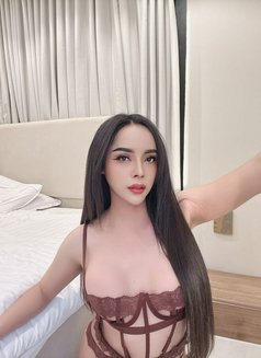 I'm Noona Thailand am Ladyboy - Transsexual escort in Khobar Photo 4 of 8