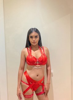 TOP BOTH BIG STRONG - Transsexual escort in Riyadh Photo 10 of 10