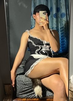 I'm Yo🇹🇭 New in Doha - Transsexual escort in Doha Photo 2 of 6