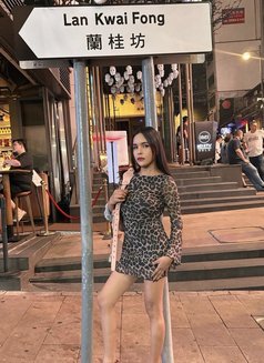 Sexy babe Anne from the Philippines - Transsexual escort in Hong Kong Photo 19 of 22