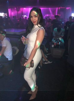 I'm Your Gorgeous Filipina Pixie Branlee - Transsexual escort in Doha Photo 16 of 30