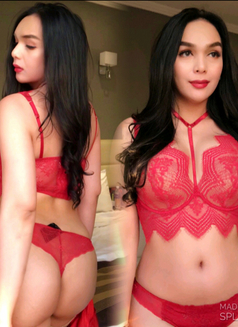 I'm Your Gorgeous Filipina Pixie Branlee - Transsexual escort in Doha Photo 12 of 30