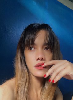 Iam Chloe - Transsexual escort in Manila Photo 8 of 11