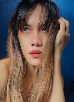 Iam Chloe - Transsexual escort in Manila Photo 9 of 11