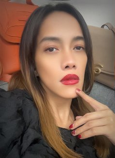 Iam Chloe - Transsexual escort in Manila Photo 12 of 13