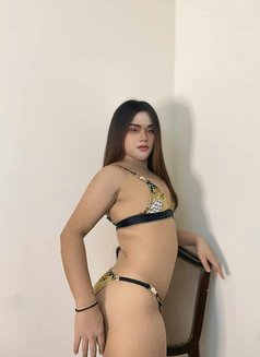 Ice ice Ladyboy Both new in khobar - Transsexual escort in Khobar Photo 10 of 12