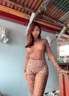 Ice Miller - adult performer in Manila Photo 4 of 4