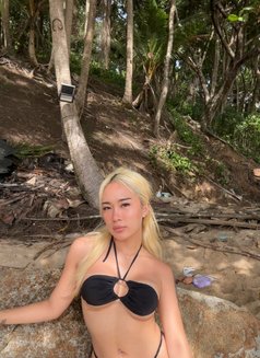 Icezy 100% woman (arrive 14) - escort in Okinawa Island Photo 3 of 10