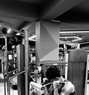 Ilman - Acompañantes masculino in Kolkata Photo 2 of 3