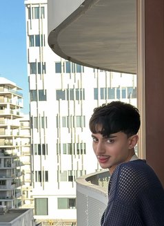 Ilyess - Male escort in Casablanca Photo 1 of 5