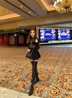 im_HONEY_licious - escort in Macao Photo 22 of 22