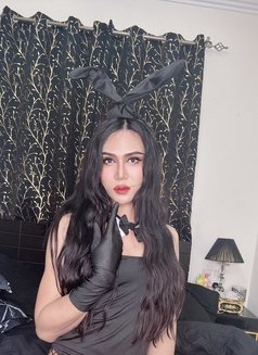 Im sexy star from Sukhumvit11 Thailand - Transsexual escort in Al Manama Photo 5 of 5