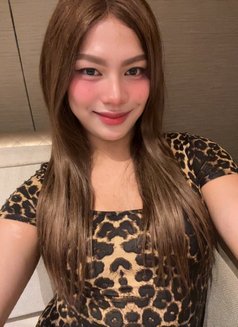 Tasha Mey Good Satisfied - Transsexual escort in Taipei Photo 4 of 10