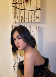 Im Your Sexiest Ts Hugecock - Transsexual escort in Bangkok Photo 19 of 24