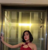 Im Your Sexiest Ts Hugecock - Transsexual escort in Bangkok Photo 25 of 25