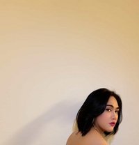 Im Your Sexiest Ts Hugecock - Transsexual escort in Bangkok Photo 26 of 26