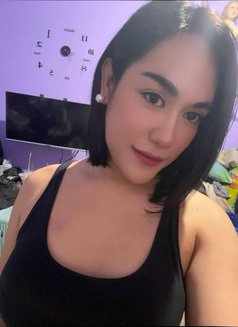 Im Your Sexiest Ts Hugecock - Transsexual escort in Bangkok Photo 14 of 14