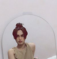 Imara - Transsexual escort in New Delhi