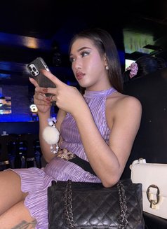 Imyourttans - Transsexual escort in Angeles City Photo 6 of 16