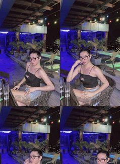 Imyourttans - Transsexual escort in Angeles City Photo 15 of 16