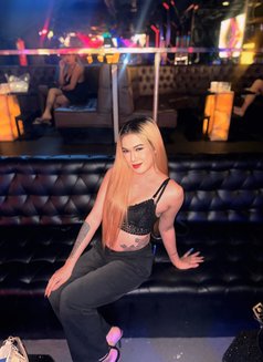 Imyourttans - Transsexual escort in Angeles City Photo 2 of 12