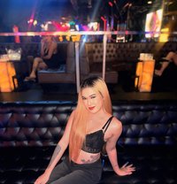 Imyourttans - Acompañantes transexual in Angeles City