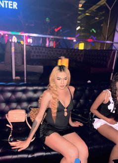 Imyourttans - Transsexual escort in Angeles City Photo 3 of 12