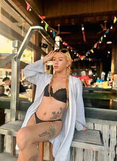 Imyourttans - Transsexual escort in Angeles City Photo 6 of 12