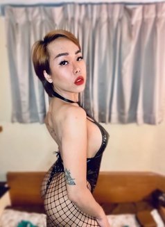 IN BANGKOK NOW MEET or CAM - Transsexual escort in Manila Photo 19 of 26