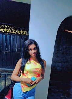 Inami Hot Shemale - Acompañantes transexual in Colombo Photo 17 of 19