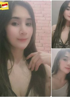 Incall Price From Rm250 1 Shot - escort in Kuala Lumpur Photo 5 of 30